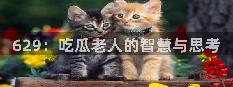 51吃瓜今日吃瓜娜娜：629：吃瓜老人的智慧与思考