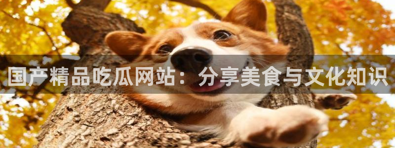51吃瓜今日吃瓜娜娜
