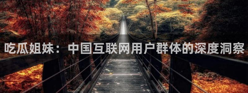 吃瓜网今日吃瓜 热门大瓜：吃瓜姐妹：中国互联网用户群体的深度洞察