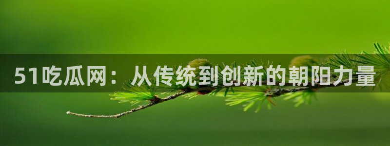 高血糖可以吃茄瓜吗：51吃瓜网：从传统到创新的朝阳力量