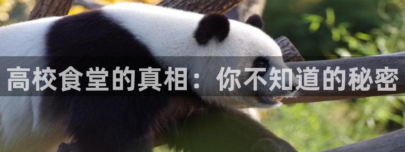 51cg1.ct吃瓜张津瑜