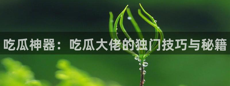 51吃瓜今日吃瓜必吃莫里：吃瓜神器：吃瓜大佬的独门技巧与秘籍