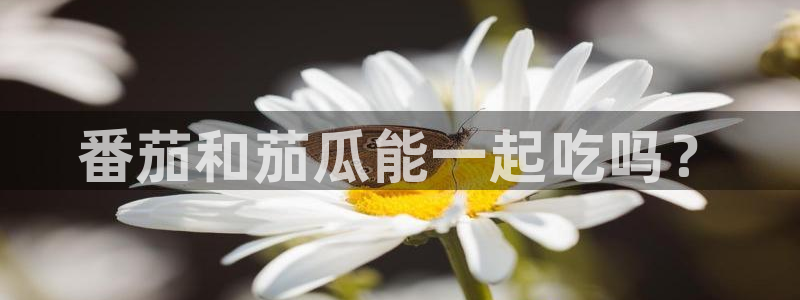 51吃瓜热心张津瑜：番茄和茄瓜能一起吃吗？