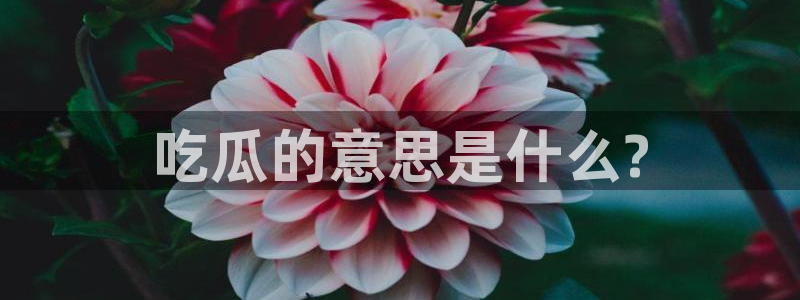 51吃瓜网每日榜单：吃瓜的意思是什么?