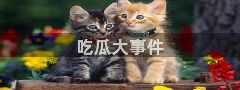 51吃瓜 张津瑜:吃瓜大事件