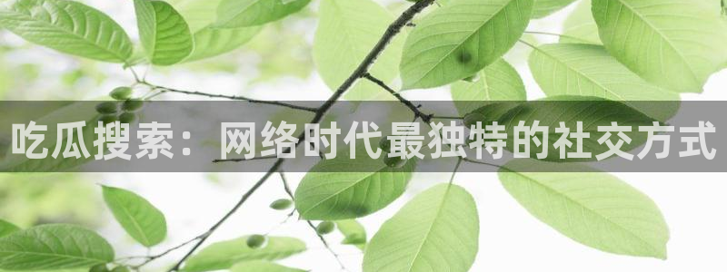 51.cgfun吃瓜：吃瓜搜索：网络时代最独特的社交方式