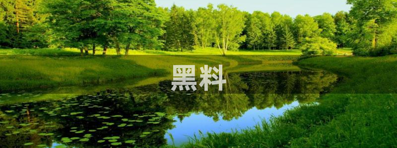 ccgg.mob今日吃瓜：黑料
